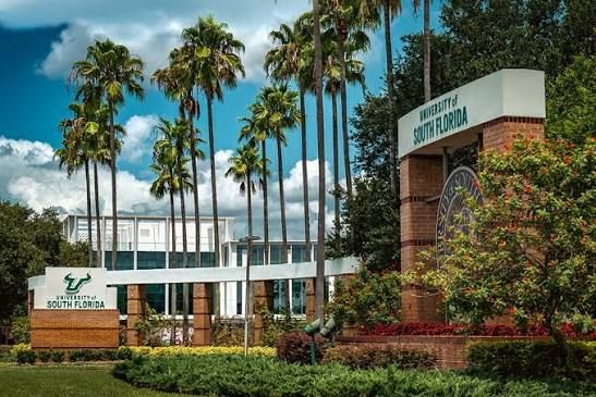 University of South Florida