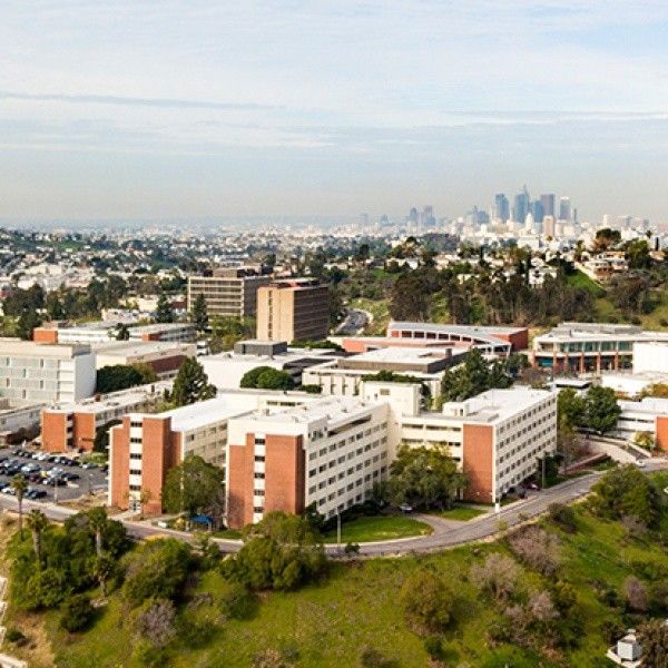 California State University