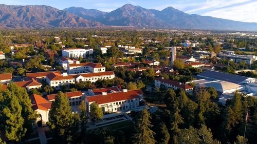 Pomona College logo