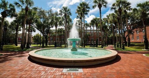 Stetson University logo