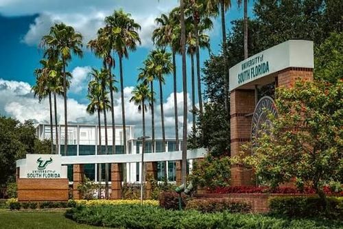 University of South Florida  logo