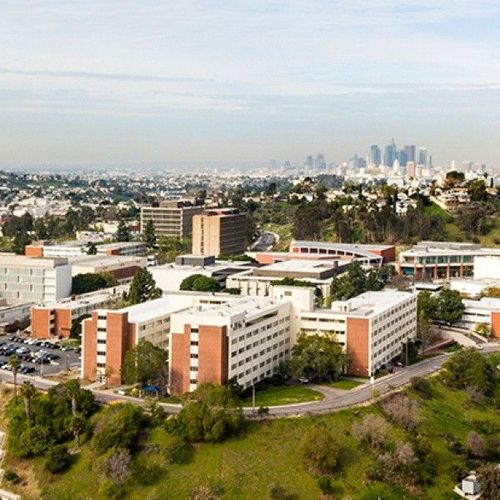 California State University logo