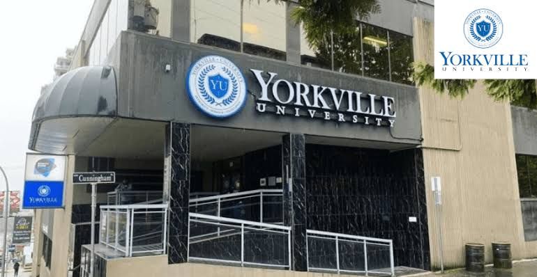 YORKVILLE UNIVERSITY